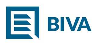 BI.VA. System Srl